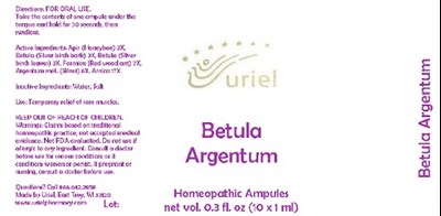 Bertula Argentum Ampule (Betula Argentum Ampule)
